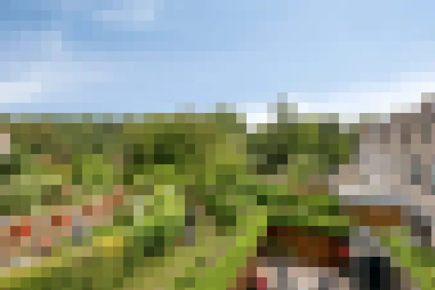 Evenaar 21 Rotterdam thumbnail 58