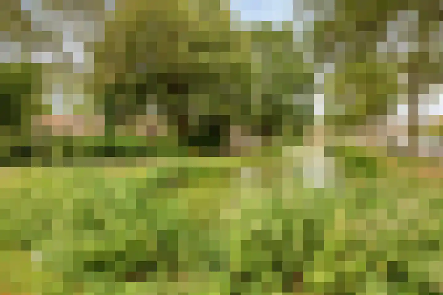 Evenaar 21 Rotterdam thumbnail 69