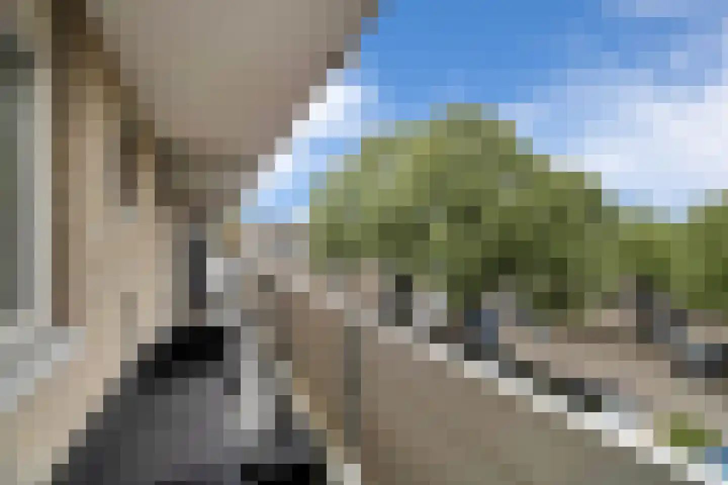 Evenaar 270 Rotterdam thumbnail 35