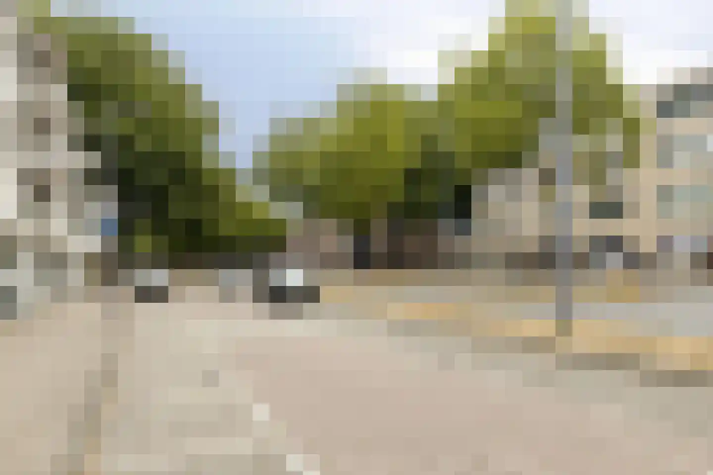 Evenaar 286 Rotterdam thumbnail 25