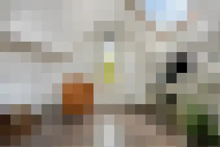 Evenaar 3 Rotterdam thumbnail 29