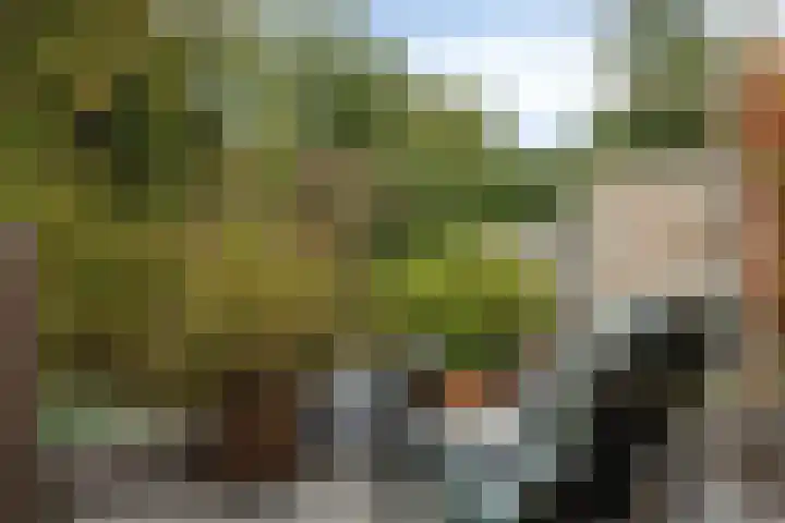 Evenaar 3 Rotterdam thumbnail 30