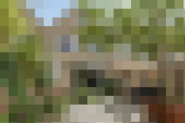 Evenaar 3 Rotterdam thumbnail 31