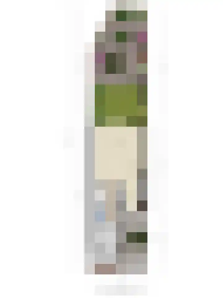 Evenaar 3 Rotterdam thumbnail 36