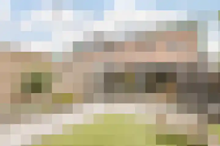 Evenaar 30 Heerhugowaard thumbnail 50