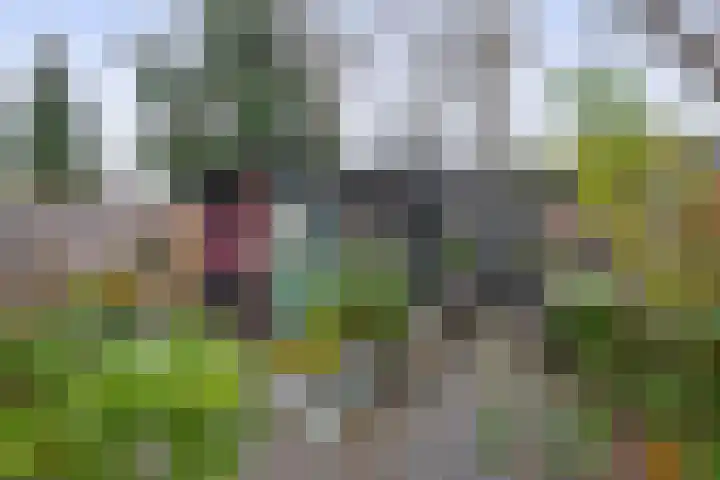 Evenaar 38 Rotterdam thumbnail 22