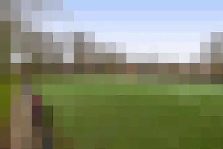 Evenaar 38 Rotterdam thumbnail 34