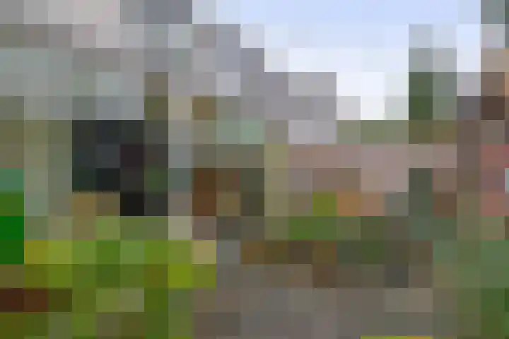 Evenaar 38 Rotterdam thumbnail 5
