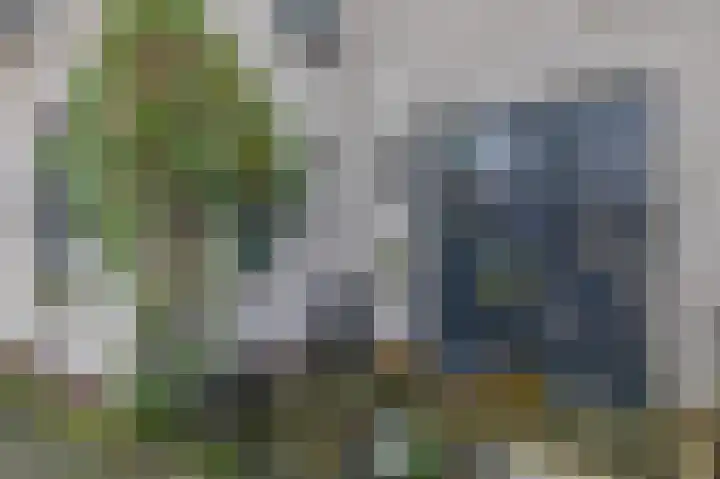 Evenaar 38 Rotterdam thumbnail 8