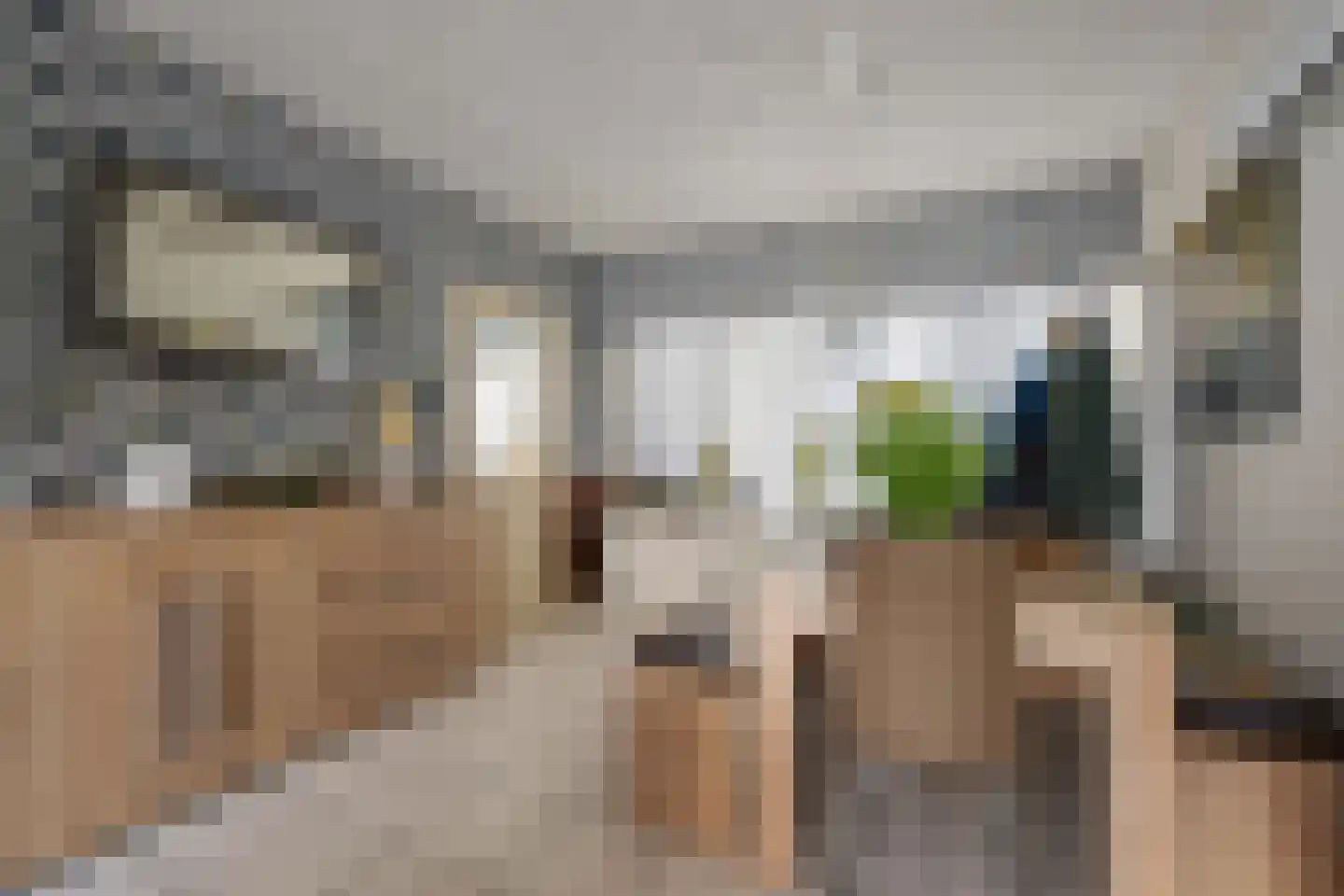 Evenaar 46 Klazienaveen thumbnail 6
