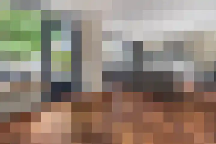 Evenaar 52 Alphen aan den Rijn thumbnail 10
