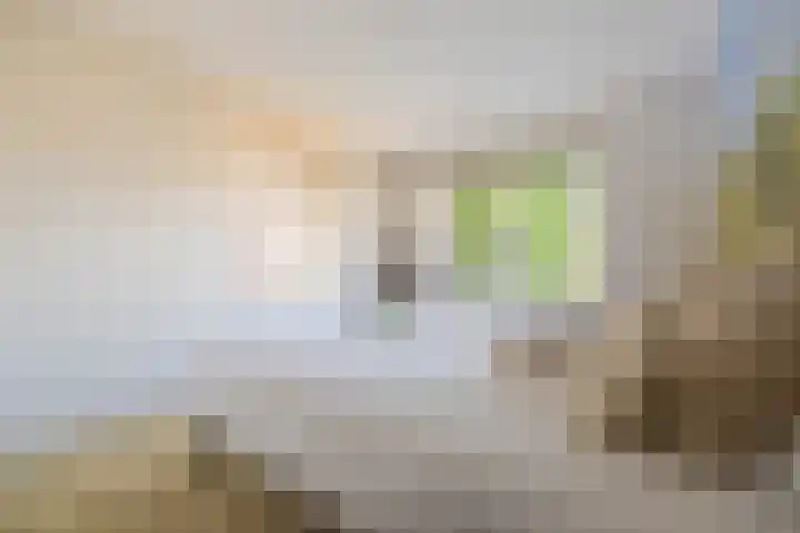 Evenaar 52 Alphen aan den Rijn thumbnail 20