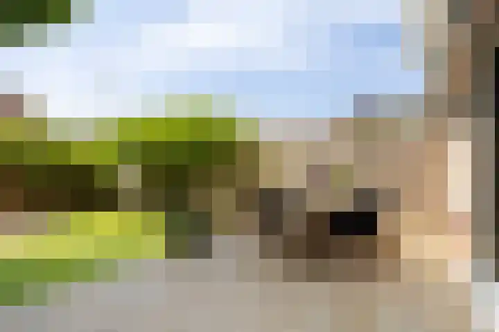 Evenaar 52 Alphen aan den Rijn thumbnail 30