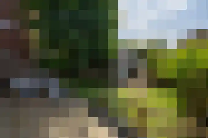 Evenaar 52 Alphen aan den Rijn thumbnail 31