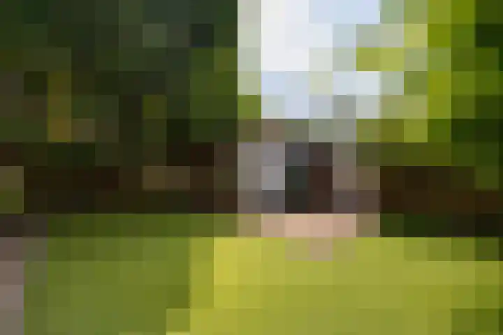 Evenaar 52 Alphen aan den Rijn thumbnail 32