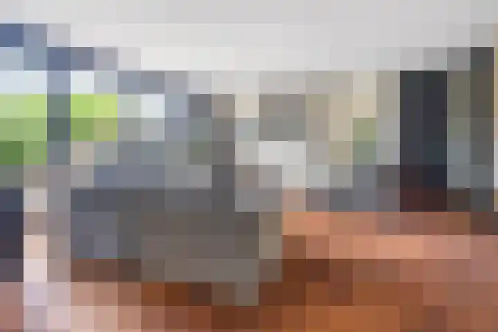 Evenaar 52 Alphen aan den Rijn thumbnail 6