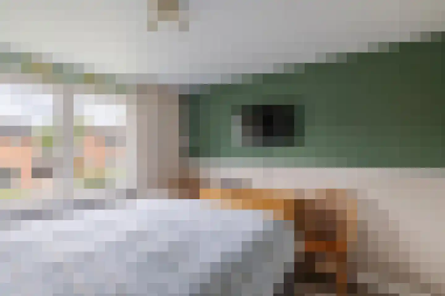 Evenaar 58 Klazienaveen thumbnail 23