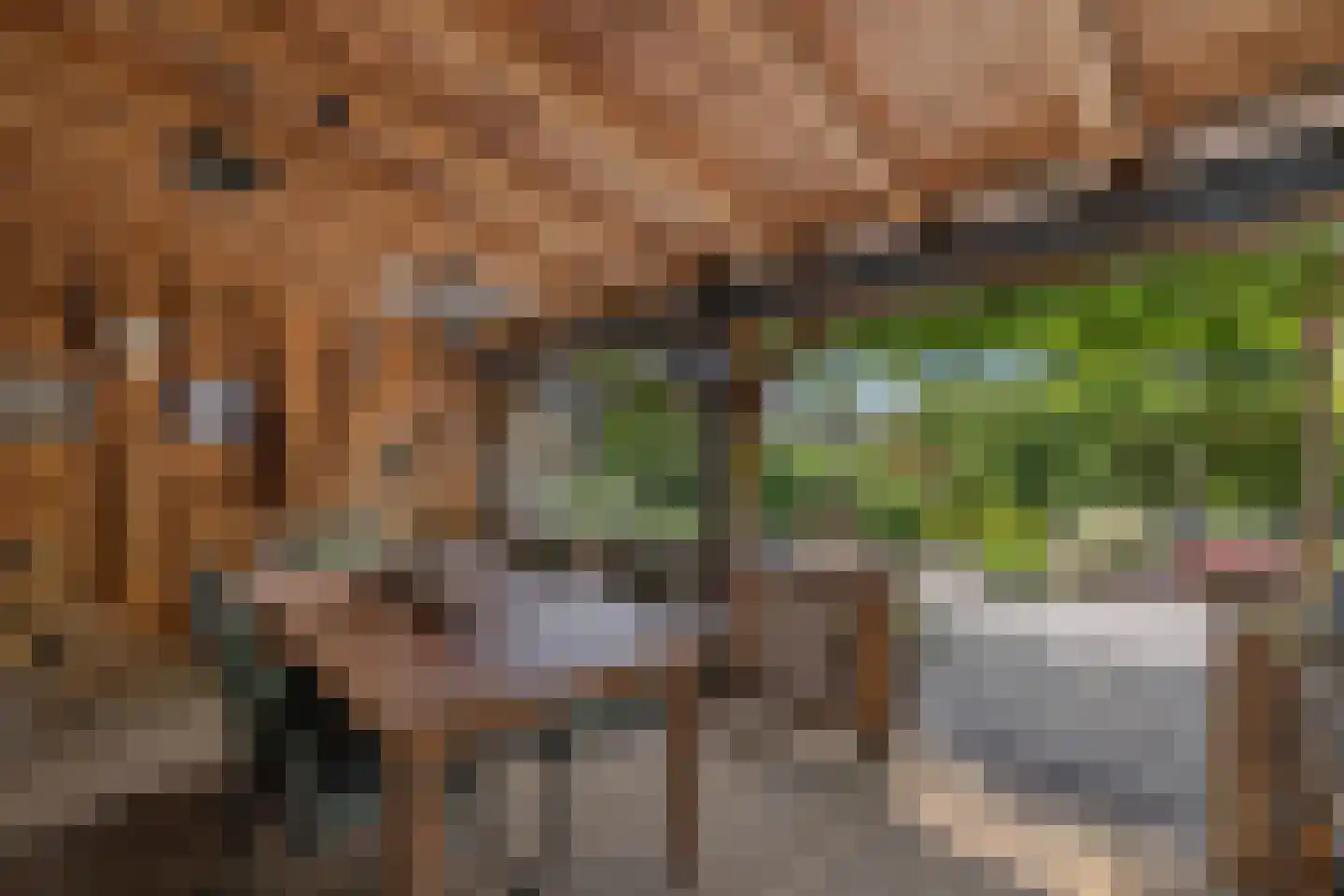 Evenaar 58 Klazienaveen thumbnail 31