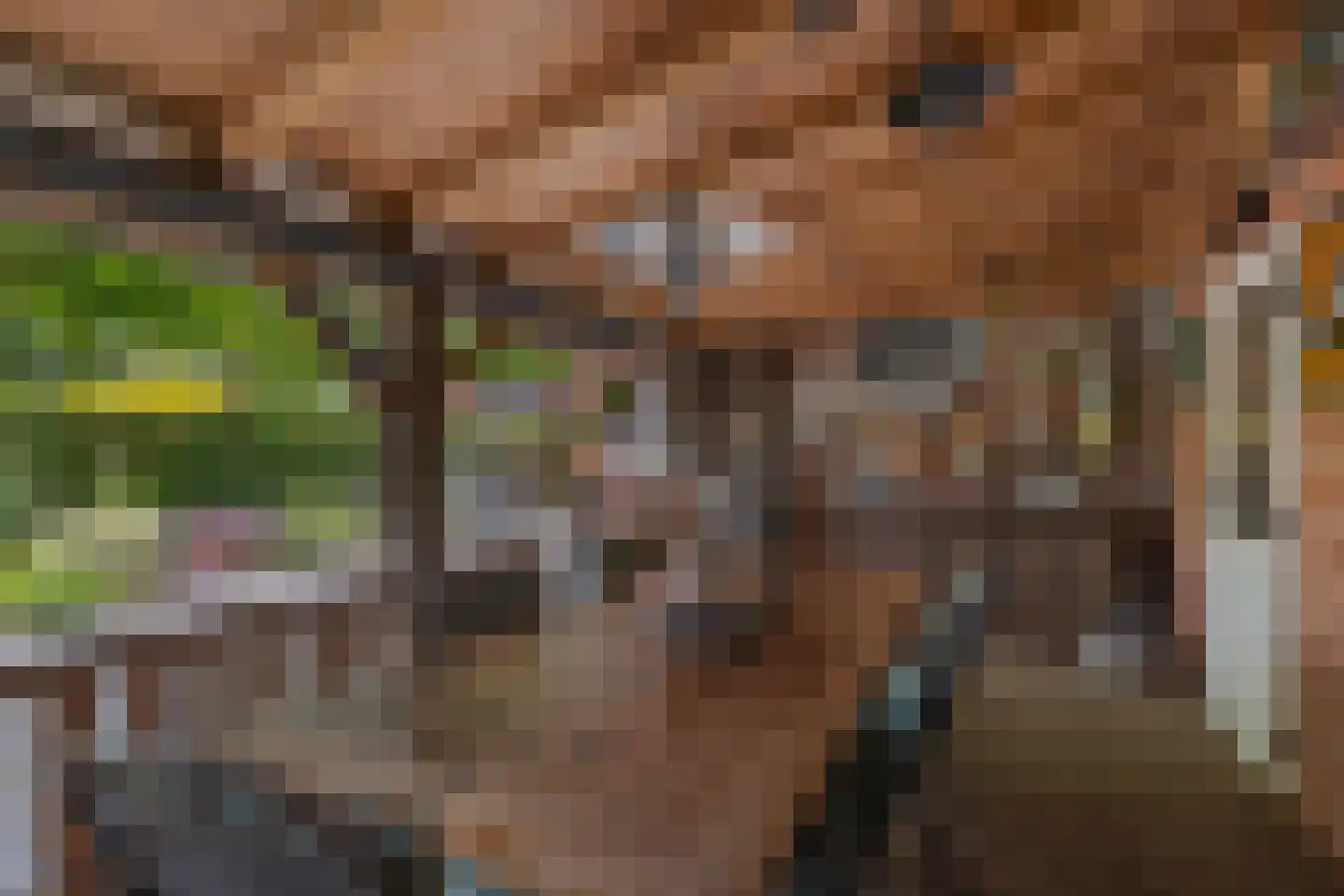 Evenaar 58 Klazienaveen thumbnail 32