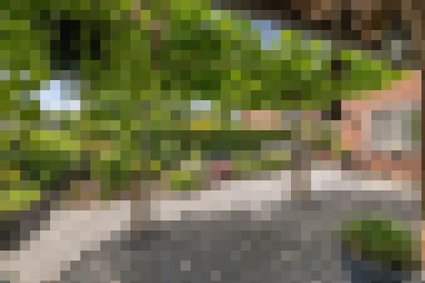 Evenaar 58 Klazienaveen thumbnail 33