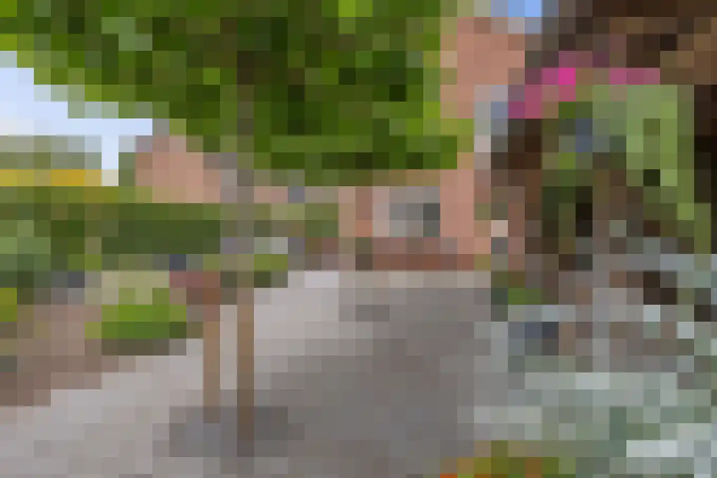 Evenaar 58 Klazienaveen thumbnail 34