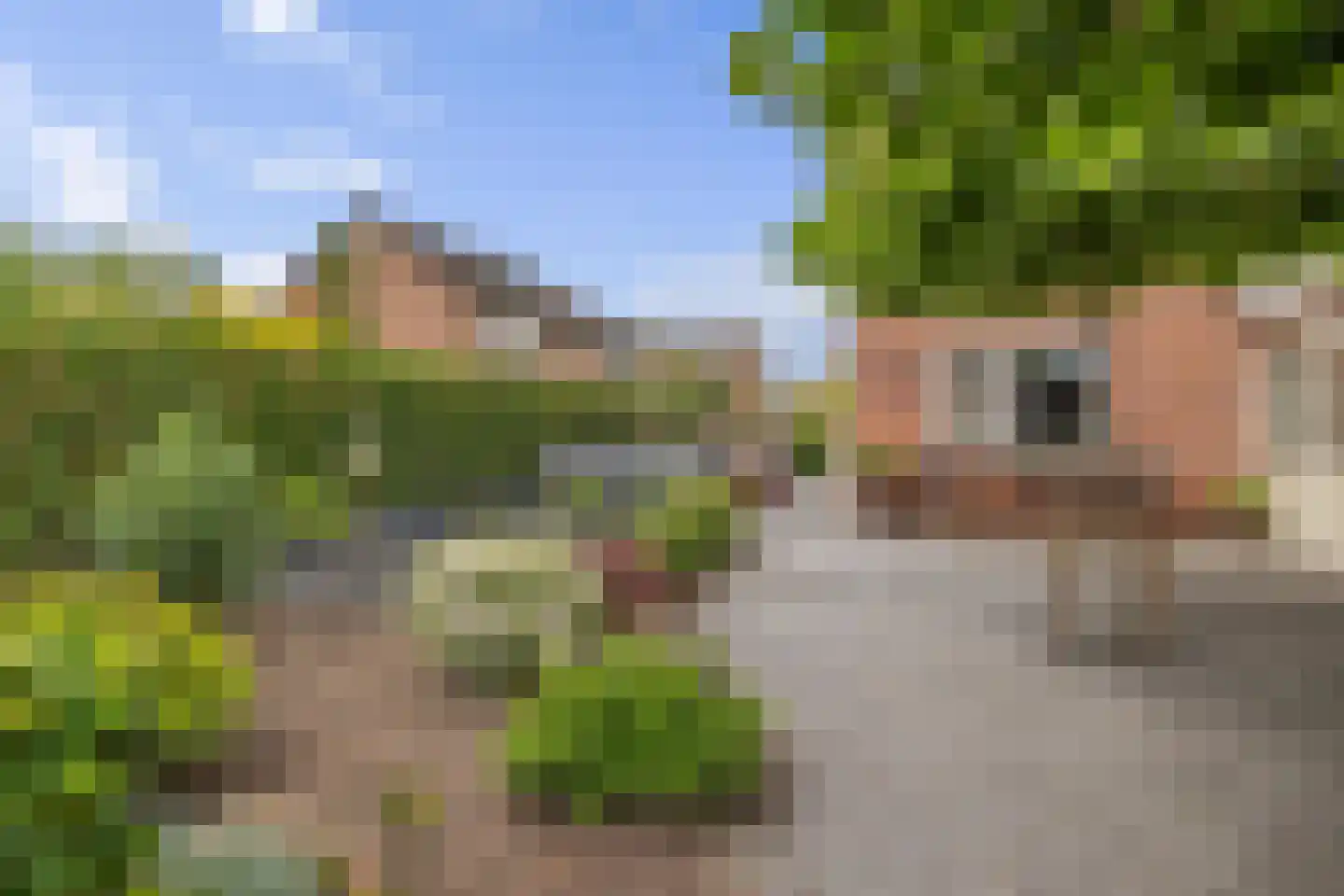 Evenaar 58 Klazienaveen thumbnail 34