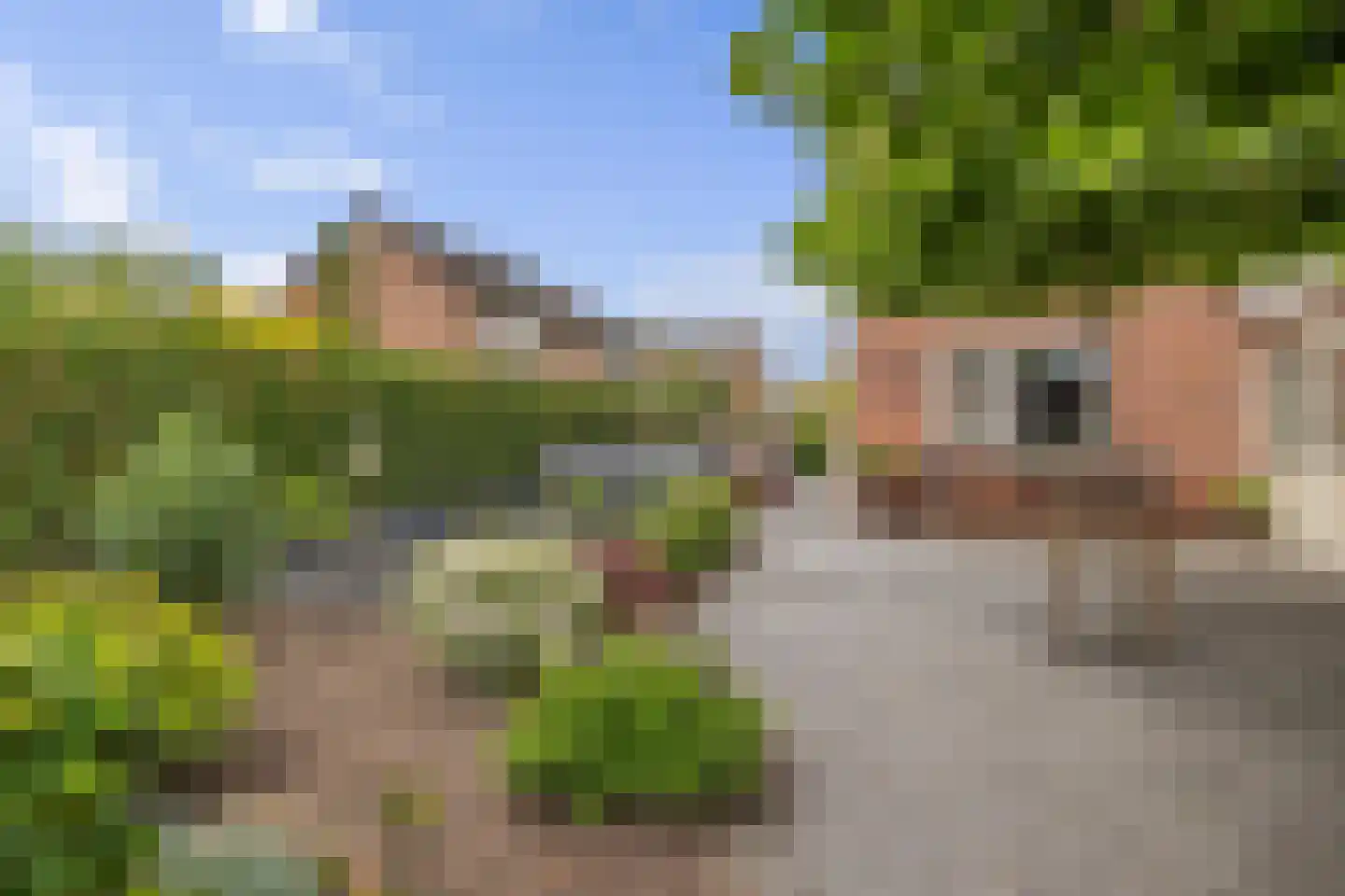Evenaar 58 Klazienaveen thumbnail 35
