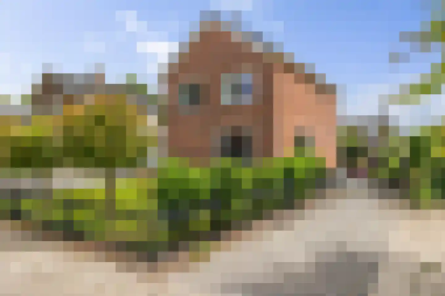 Evenaar 58 Klazienaveen thumbnail 4