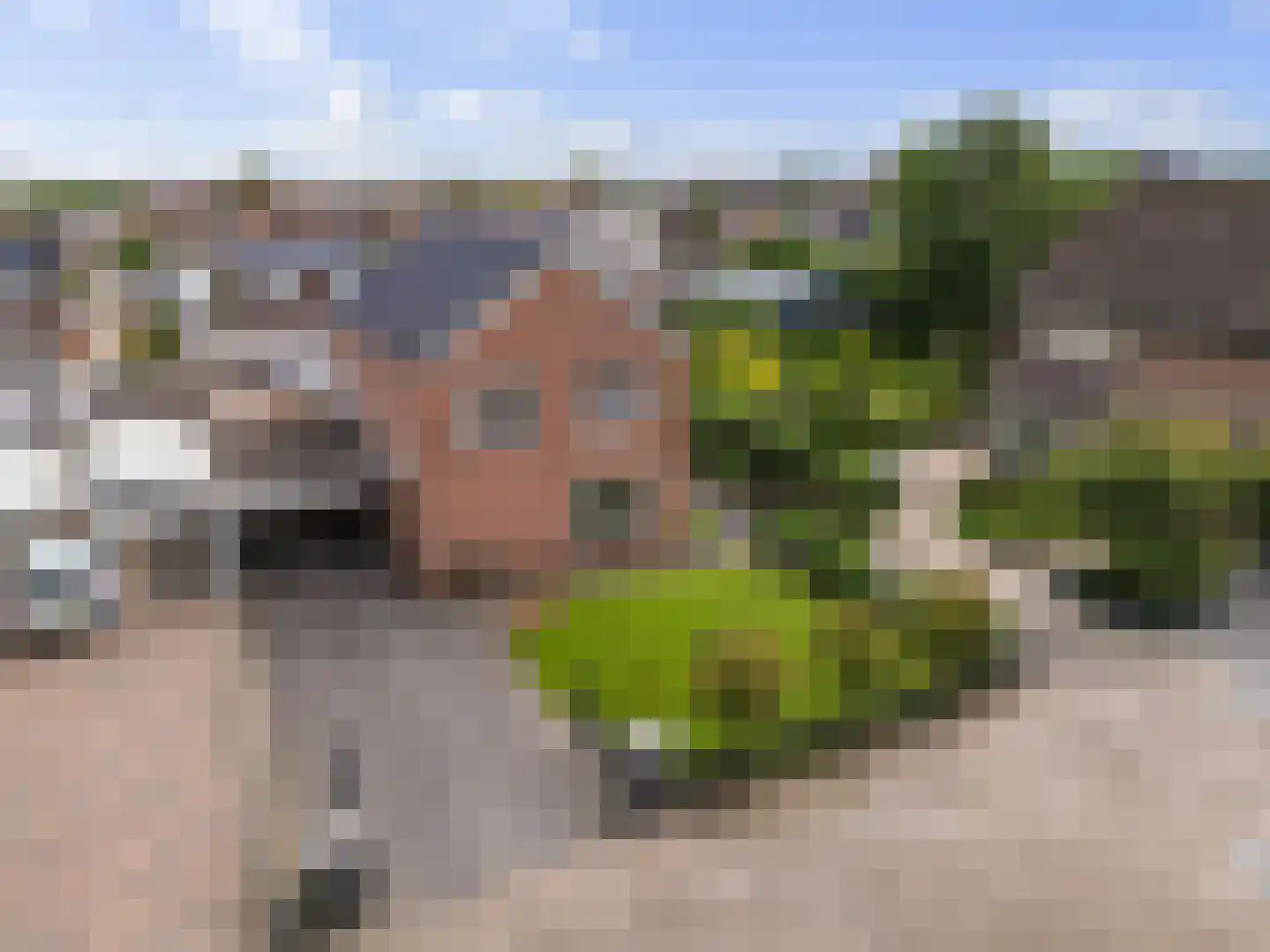 Evenaar 58 Klazienaveen thumbnail 40