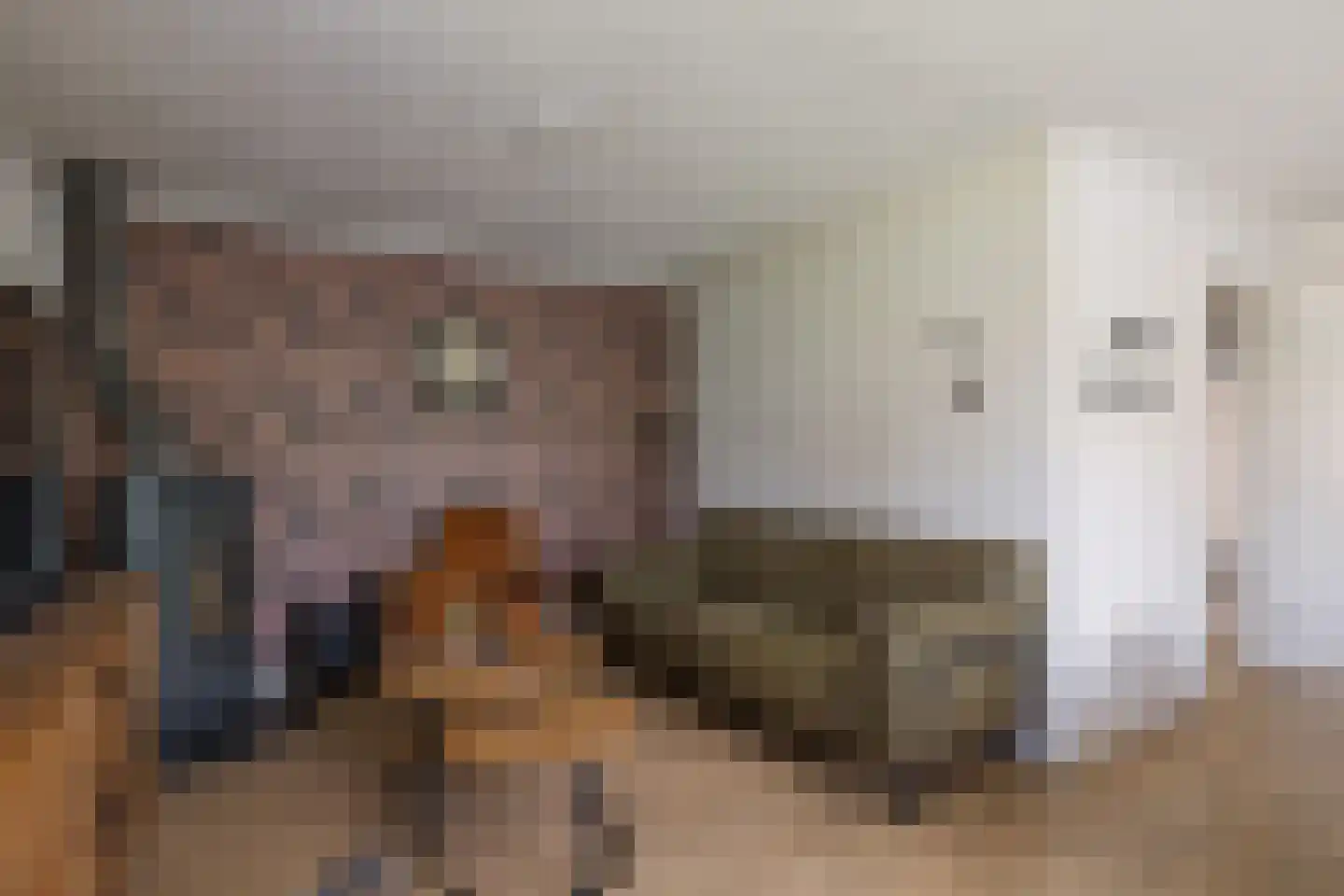 Evenaar 58 Klazienaveen thumbnail 8
