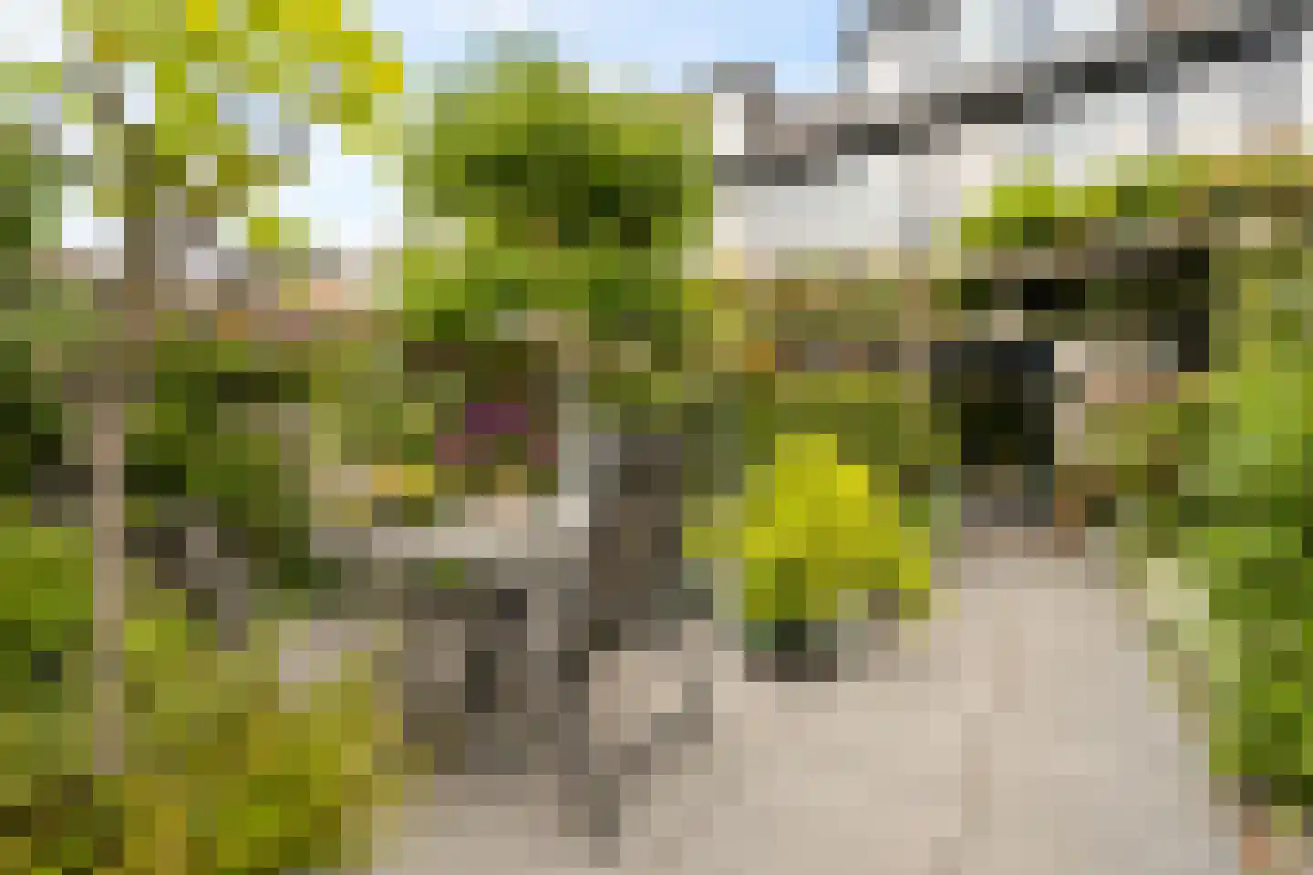Evenaar 6 De Meern thumbnail 29