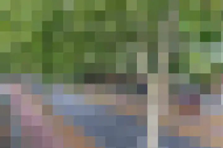 Evenaar 60 Rotterdam thumbnail 39