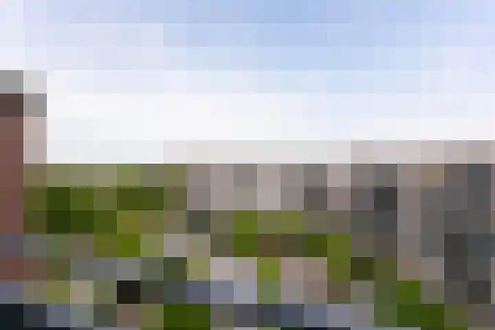 Evenaar 67 Amersfoort thumbnail 30