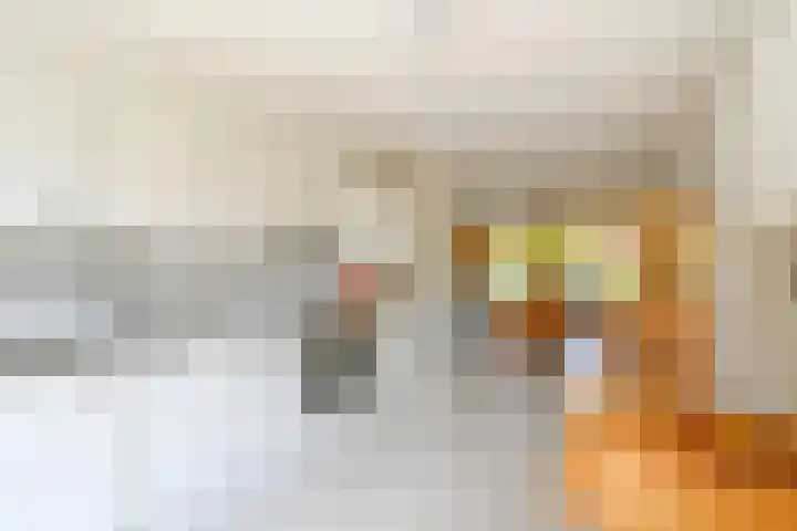 Evenaar 7 Alphen aan den Rijn thumbnail 11