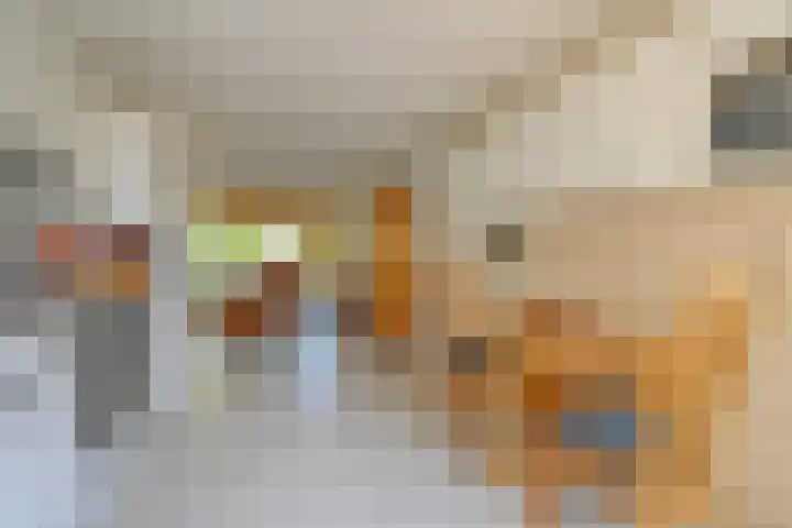 Evenaar 7 Alphen aan den Rijn thumbnail 13