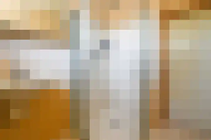 Evenaar 7 Alphen aan den Rijn thumbnail 33