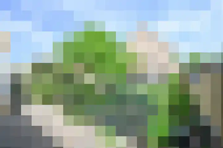 Evenaar 7 Alphen aan den Rijn thumbnail 36