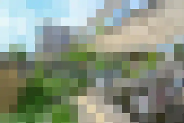 Evenaar 7 Alphen aan den Rijn thumbnail 38