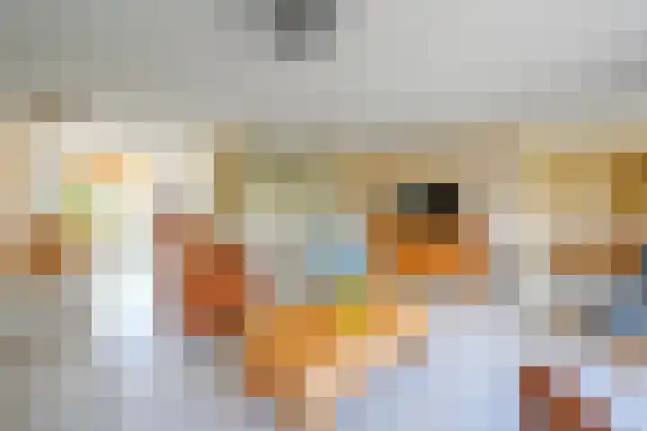 Evenaar 7 Alphen aan den Rijn thumbnail 8