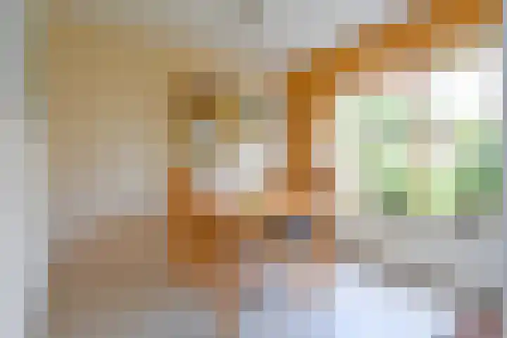 Evenaar 7 Alphen aan den Rijn thumbnail 9