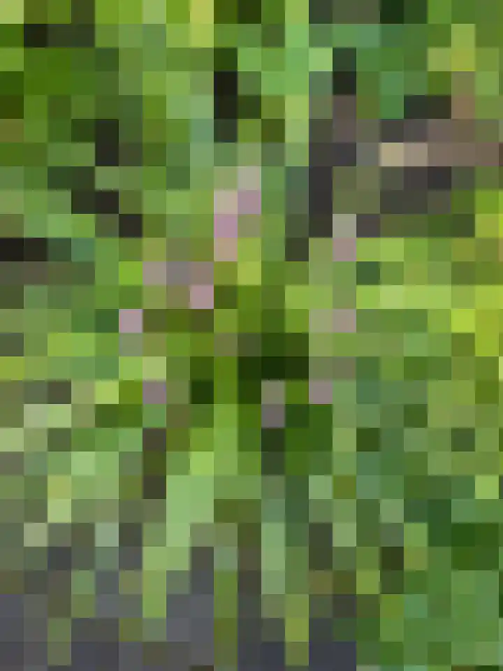 Evenaar 8 Huis ter Heide thumbnail 27