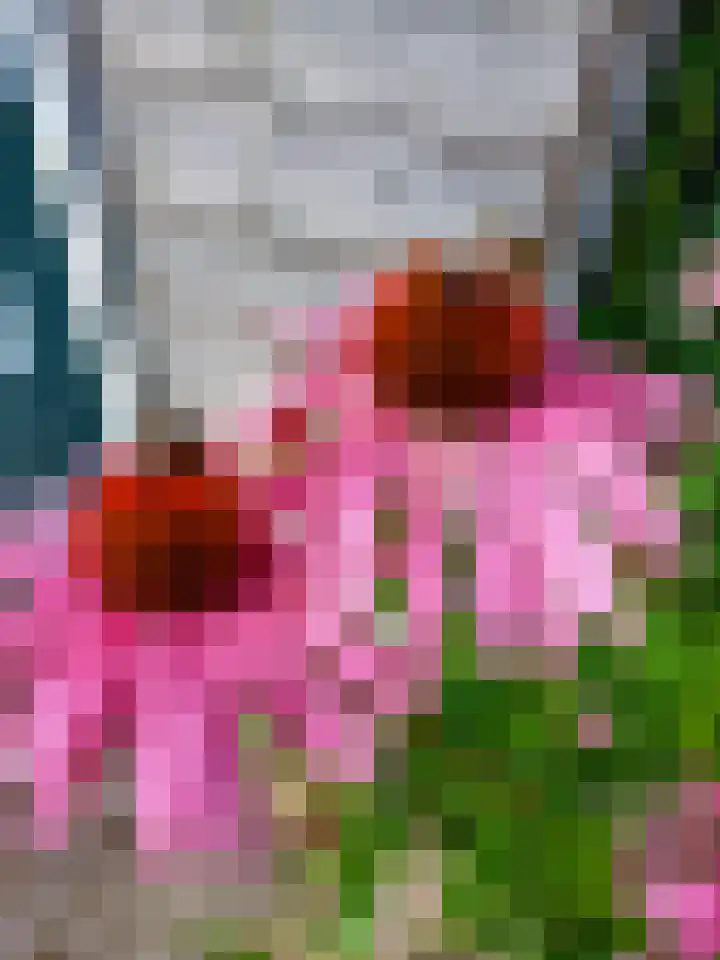 Evenaar 8 Huis ter Heide thumbnail 28