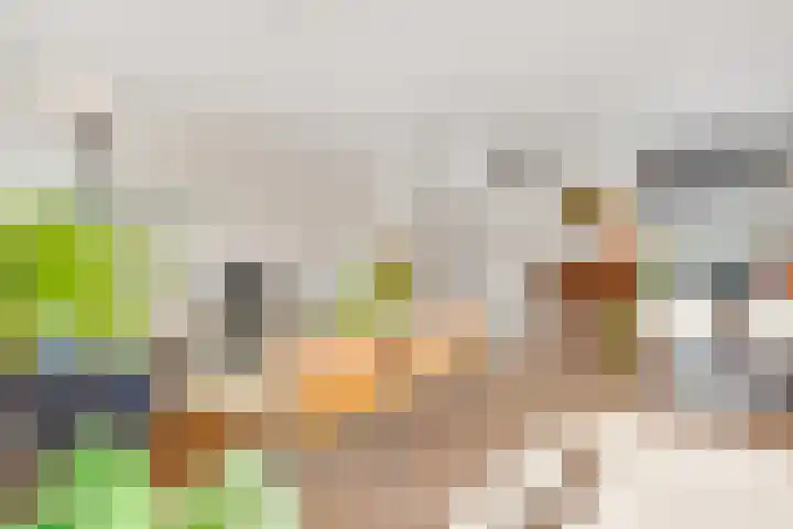 Evenaar 8 Huis ter Heide thumbnail 6