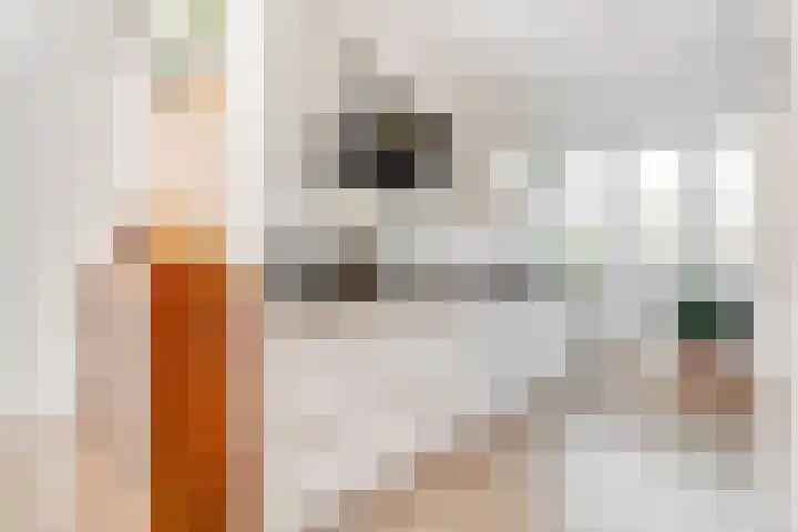 Evenaar 8 Huis ter Heide thumbnail 9