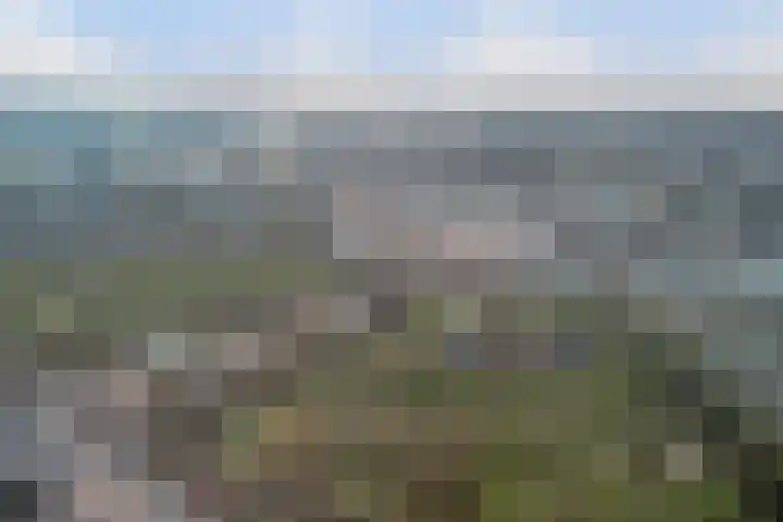 Evenaar 91 Alphen aan den Rijn thumbnail 4