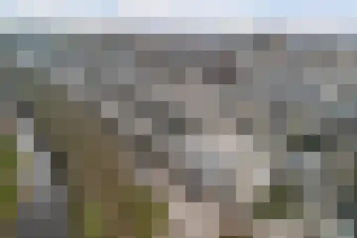 Evenaar 91 Alphen aan den Rijn thumbnail 5