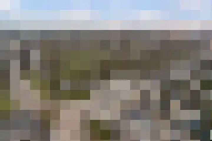Evenaar 91 Alphen aan den Rijn thumbnail 6