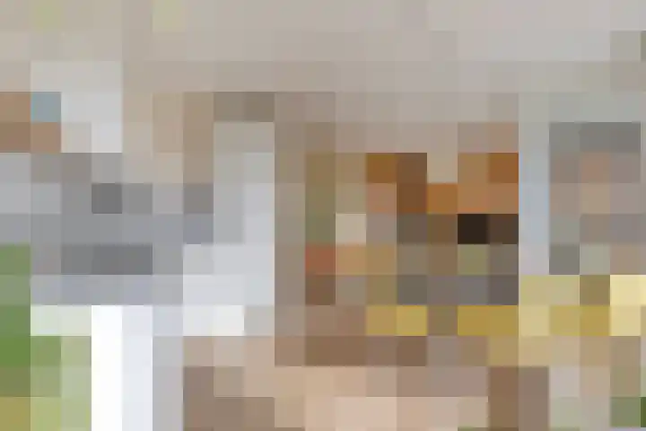 Evenementenlaan 15 Leiden thumbnail 10