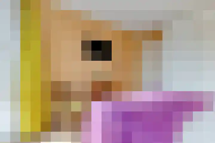 Evenementenlaan 15 Leiden thumbnail 13
