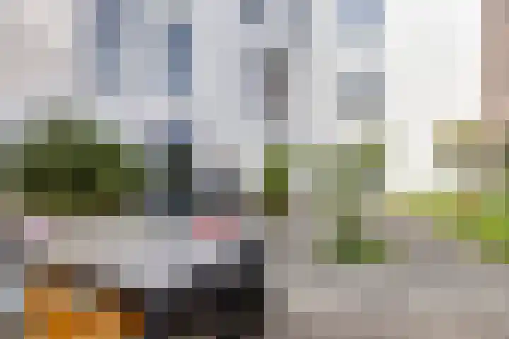 Evenementenlaan 15 Leiden thumbnail 23
